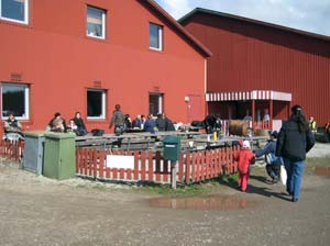 20080406_135642