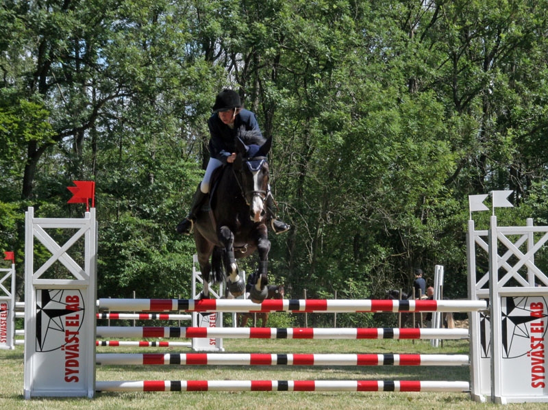 20080614_105400_0004 Karin Alderin Bertline