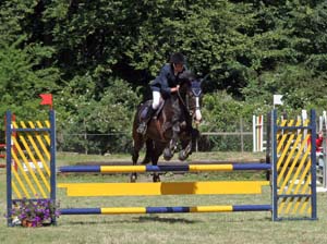 20080614_105334_0002 Karin Alderin Bertline