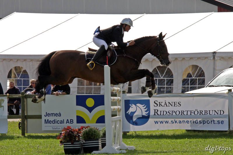 20080829_105418_0283 Tom Krog Equus Roxette